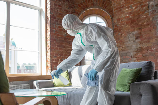 Professional Mold Removal Services in Fairview Park, OH